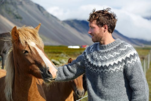 man with horse during equine therapy