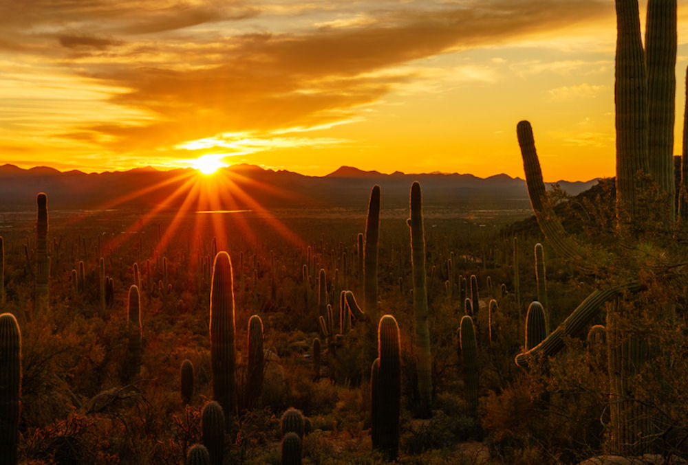 how to let go of trauma and recover