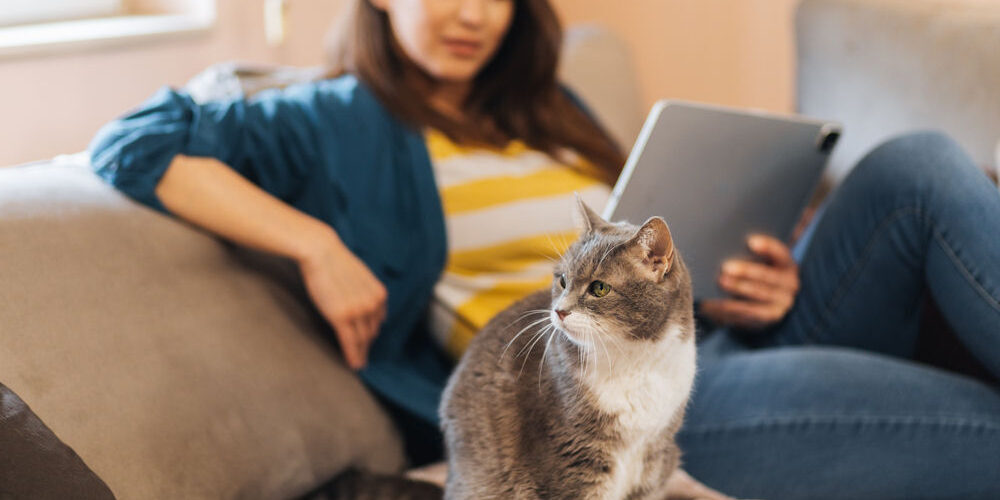 woman sitting on couch with gray cat