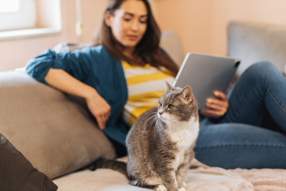 woman sitting on couch with gray cat