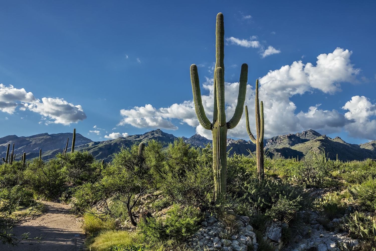 Narrative Therapy in Tucson